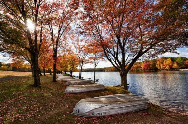 Entire 3 Bedroom Adventure Chalet, Near The Best Of The Poconos East Stroudsburg Eksteriør billede